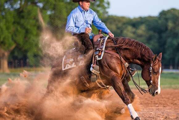 Horse Arena Footing