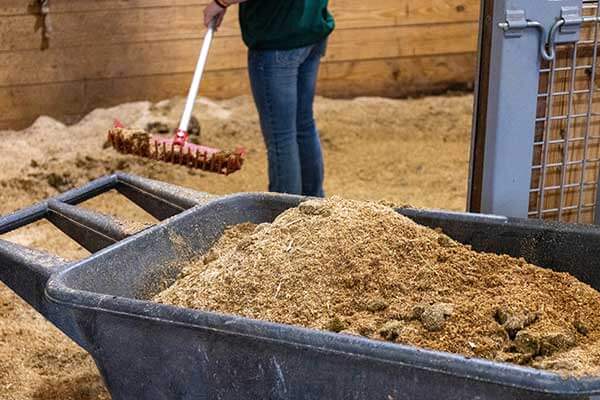 Manure Spreader GD Loading