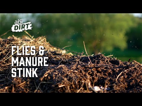 "Flies & Manure Stink" Manure Spreader Video Thumbnail. by the series ABI Dirt, presented by ABI Attachments.