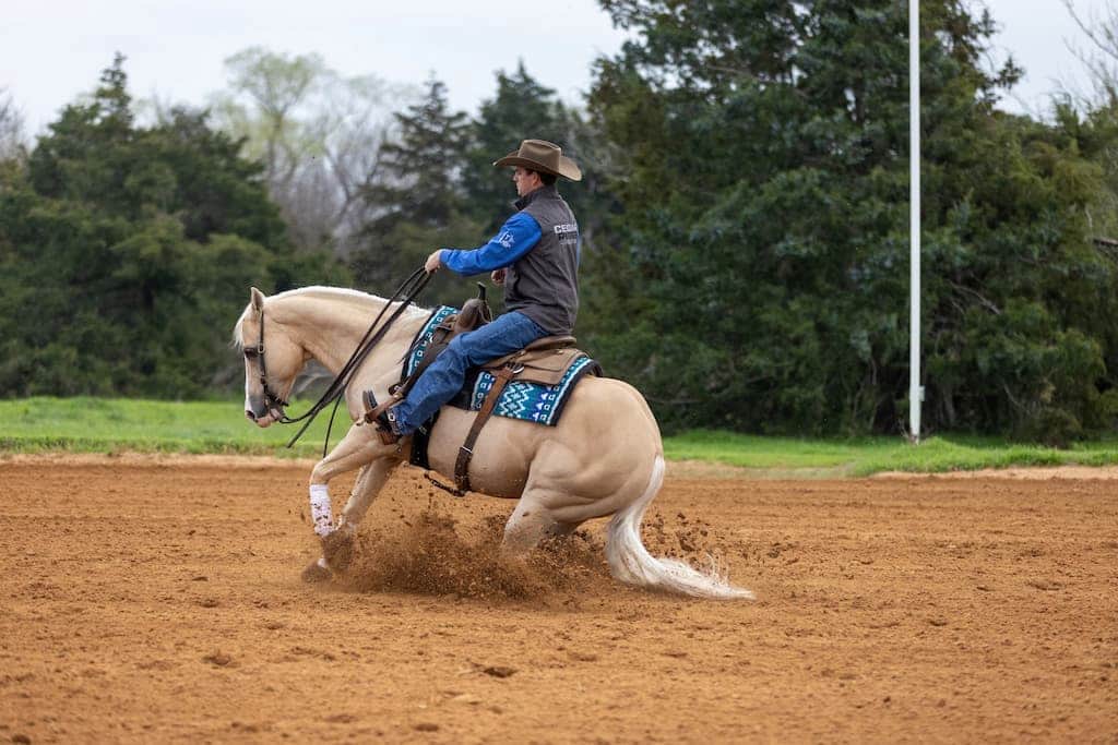 Horse and rider performing in a riding arena in competition.