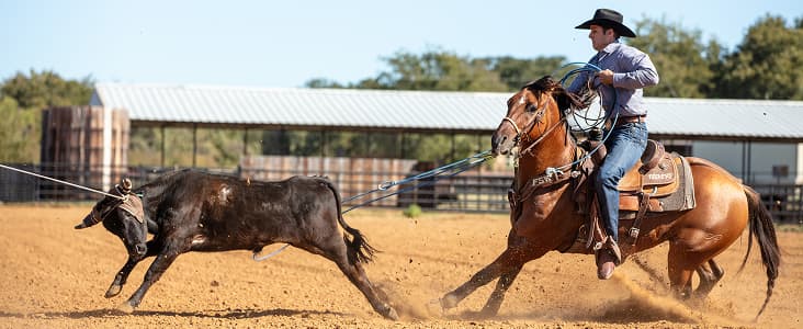 ABI Value Point Image - Fearlessness
