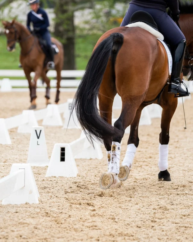 Every detail counts in your discipline. Do more for your footing. 🐎✨🟢

#ABIequestrianexperience #ABetterWay #KentuckyThreeDayEvent #K3ED