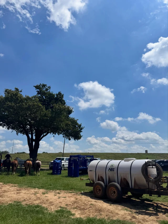 What pairs well with Texas Sun & 70% humidity?
an 𝘼𝘽𝙄 𝙒𝙖𝙩𝙚𝙧 𝙏𝙧𝙖𝙞𝙡𝙚𝙧. 👌🌊🤠

Invest today to keep your land & horses safe, happy, and healthy for years to come. 💪

📞: 877-788-7253

#WaterTrailerSeason #ABIattachments #ABetterWay
#TexasSun #Landman